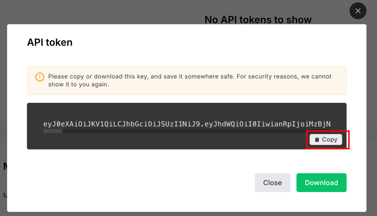 The generated MailerLite API token with a Copy button